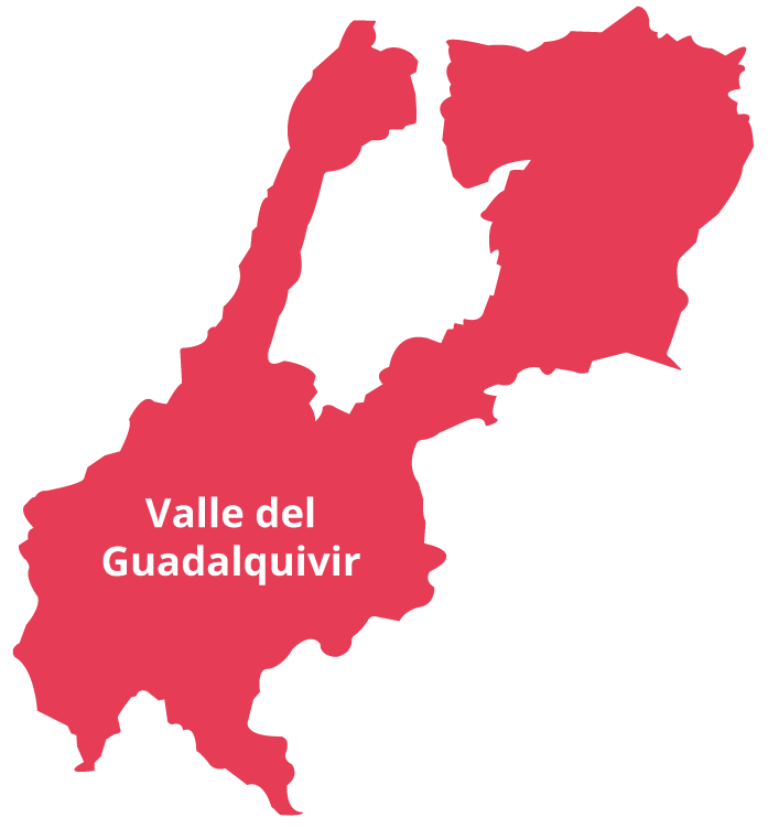 valle del guadalquivir